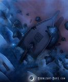 Shipwreck