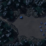 Jungle Camp