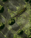Swamp Path