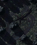Swamp Path