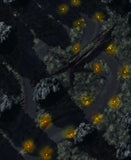 Swamp Path